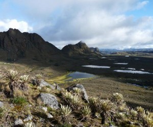 Páramo de Sumapaz Fuente: Raul Aguilera finoutrei.com